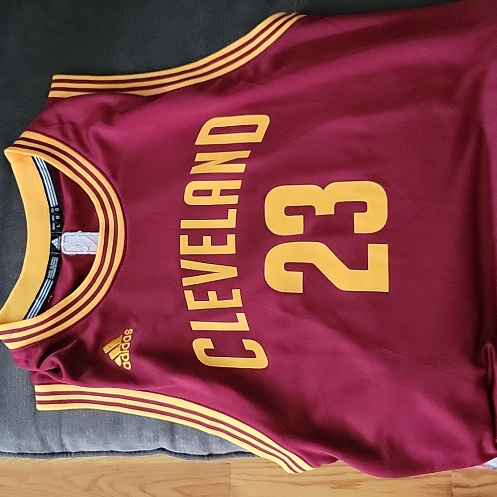 LeBron James 23 Cleveland Cavaliers